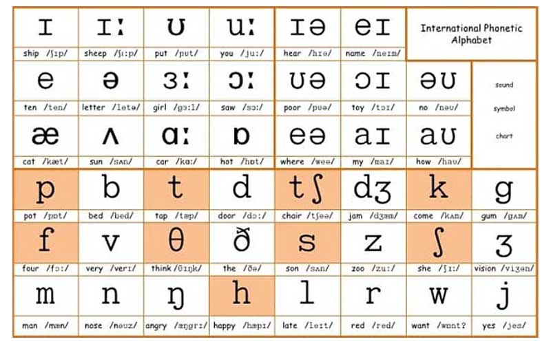 Bảng phiên âm tiếng Anh quốc tế IPA gồm 44 âm trong đó có 20 nguyên âm và 24 phụ âm