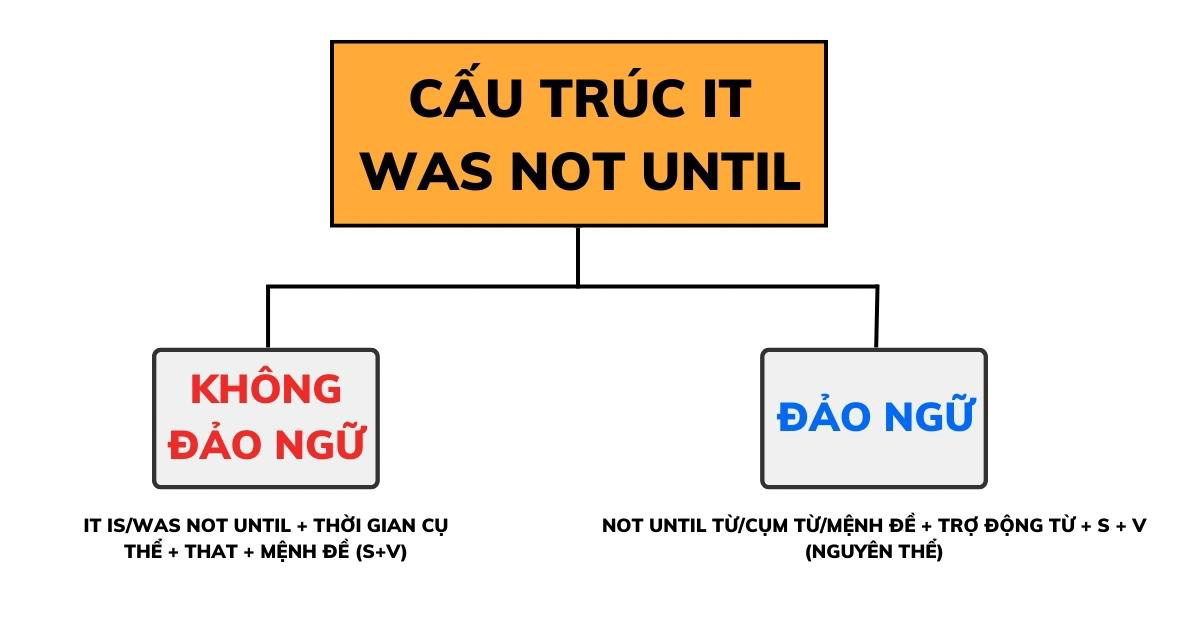 cau-truc-not-until-dao-ngu