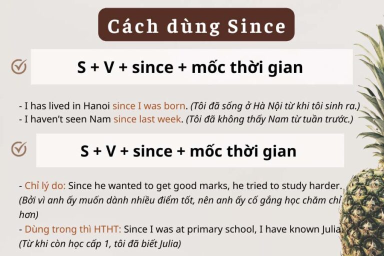 cach-dung-since-768x512